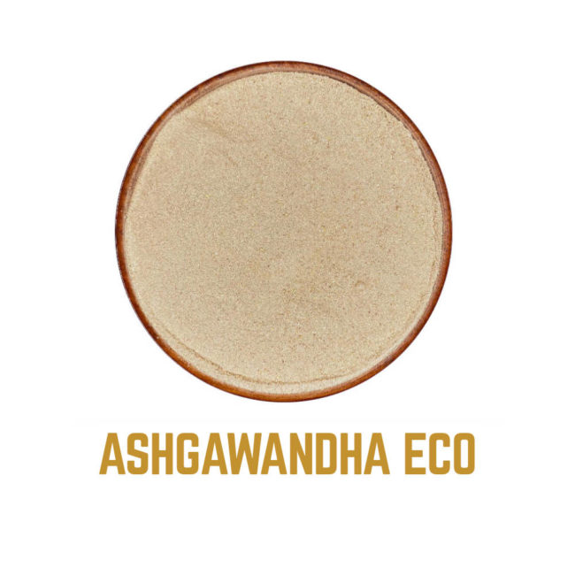 ASHWAGANDHA Icono 1