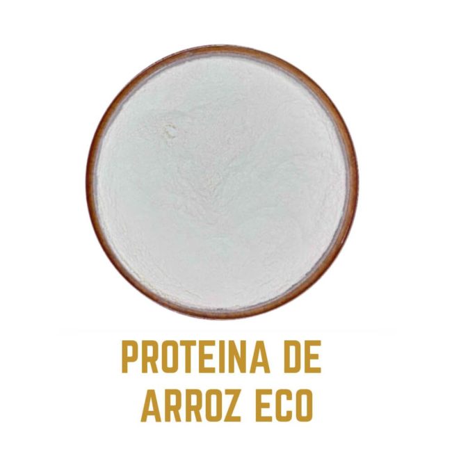 PROTEINA DE ARROZ icono3 ES