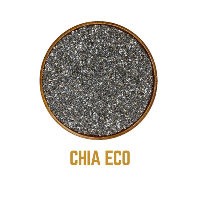 CHIA ECO icono
