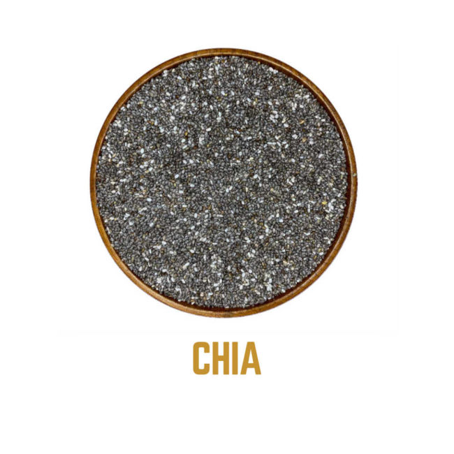 CHIA icono