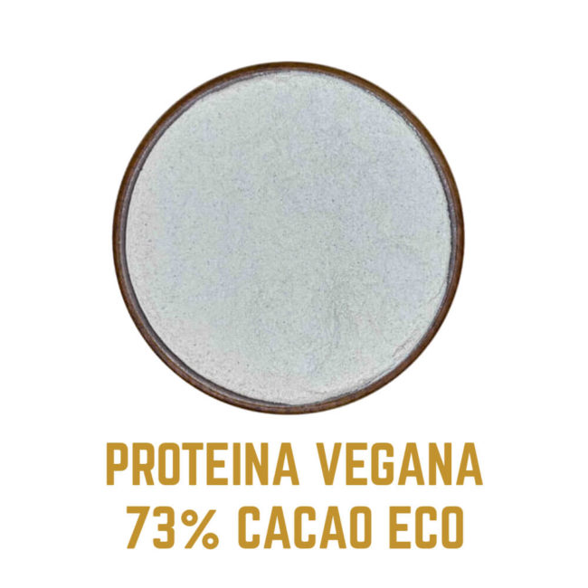 PROTEINA VEGANA CACAO 73 2icono3