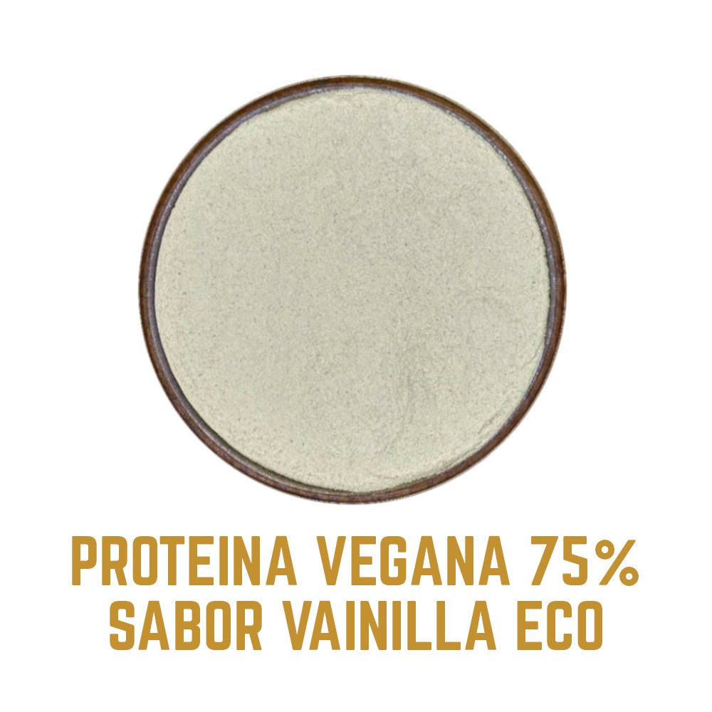 PROTEINA VEGANA VAINILLA ES