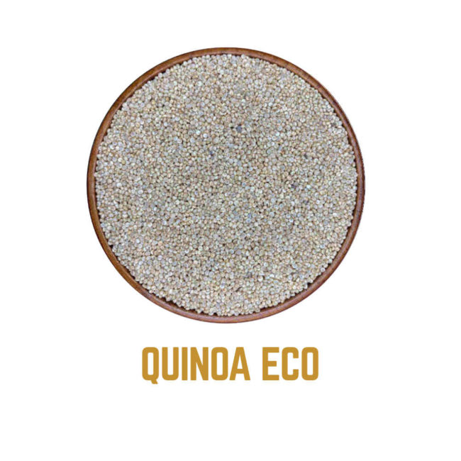 QUINOA icono