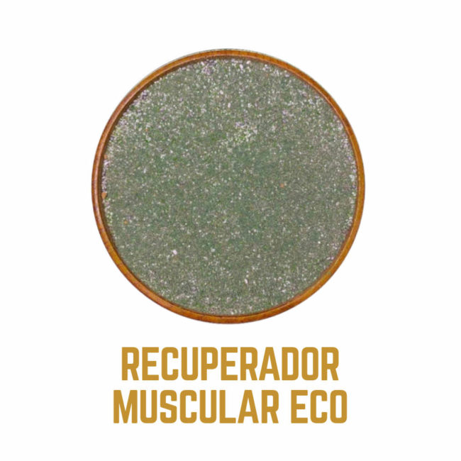 RECUPERADOR MUSCULAR icono