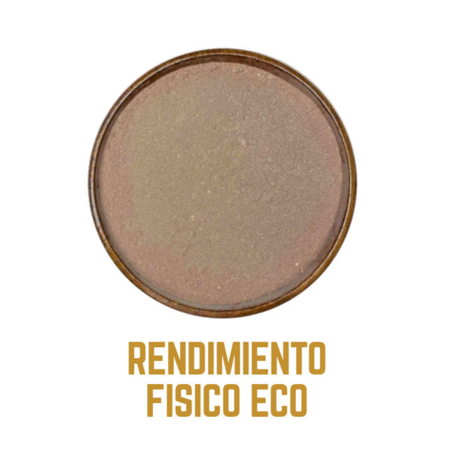 RENDIMIENTO FISICO icono