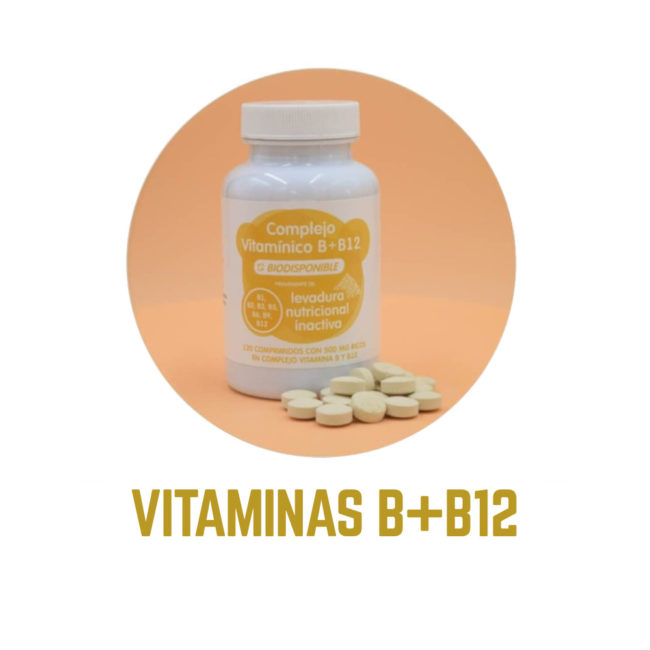 VITAMINA-BB12-icono2 VITAMINAS BB12 icono