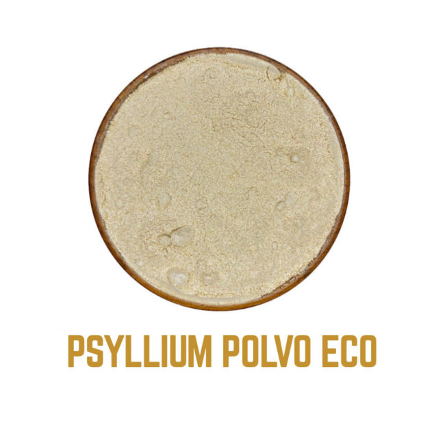 PSYLLIUM POLVO icono