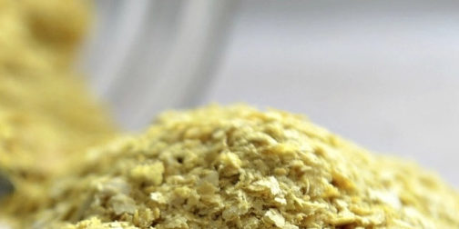 levadura nutricional blog