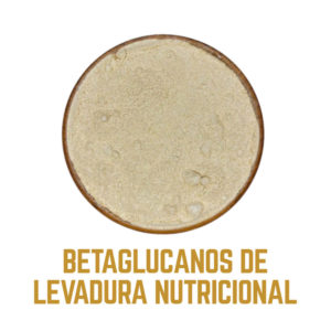 BETAGLUCANOS DE LEVADURA icono