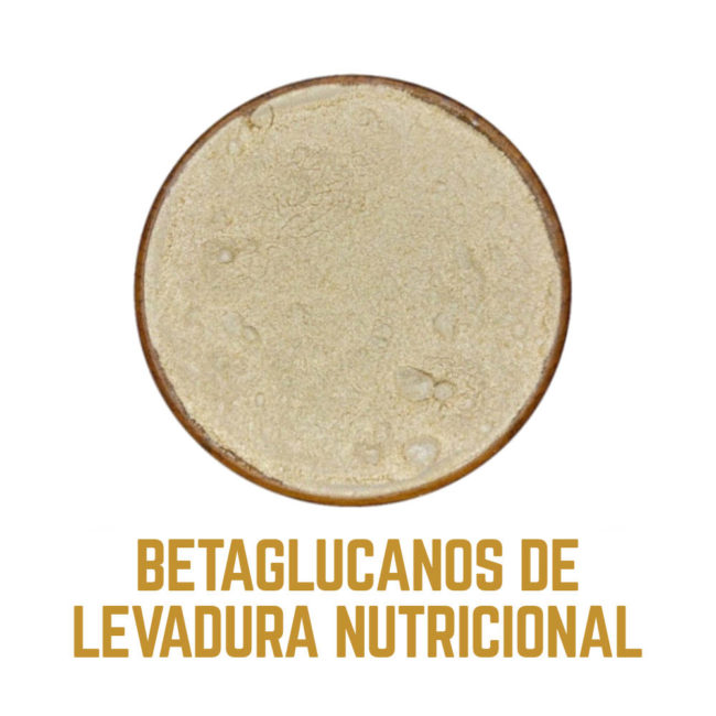 BETAGLUCANOS DE LEVADURA icono