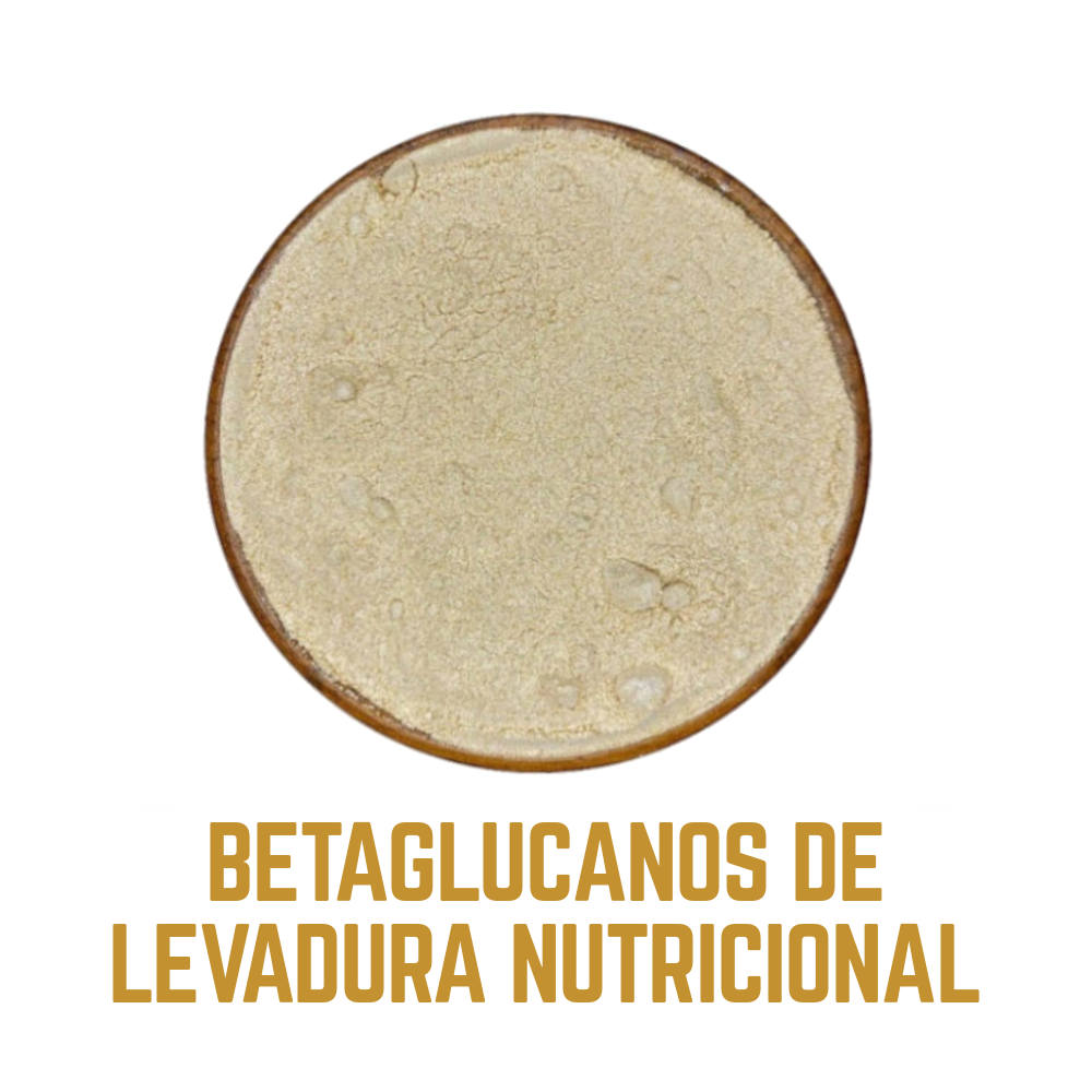 PROTEÍNA DE LEVADURA NUTRICIONAL – medsuperfoods