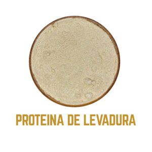 PROTEINA DE LEVADURA icono3 1