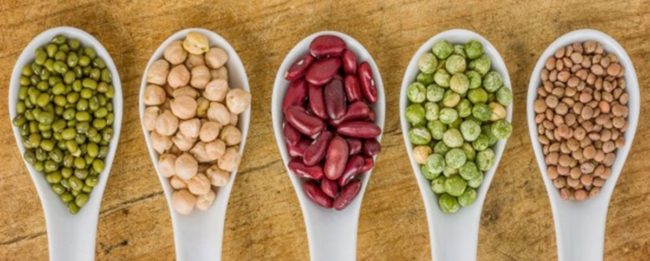 vegan proteins vegan proteins