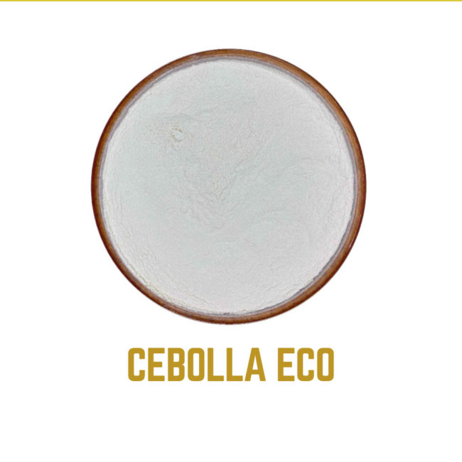 CEBOLLA icono