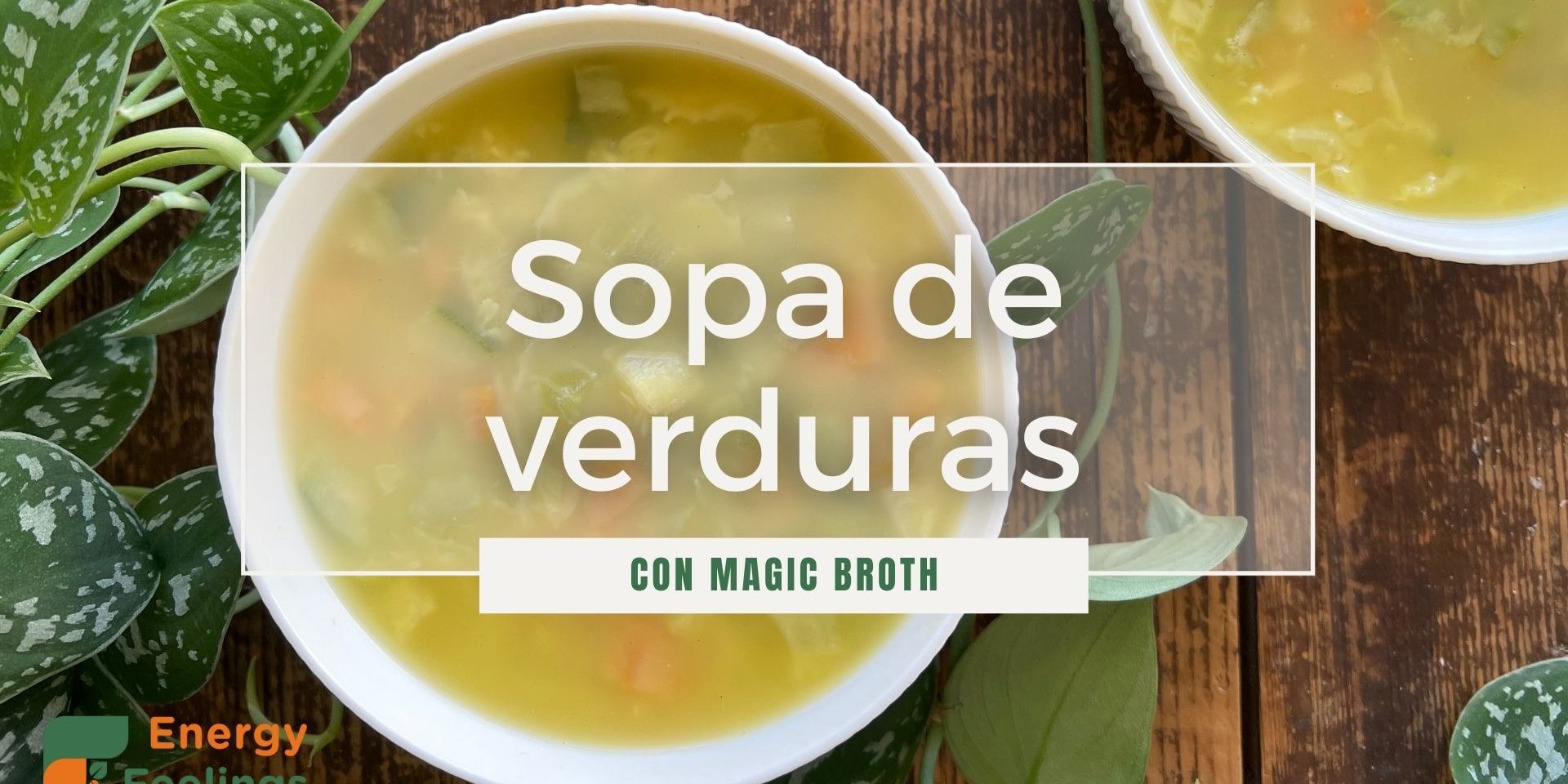 SOPA DE VERDURAS CON MAGIC BROTH TITULO
