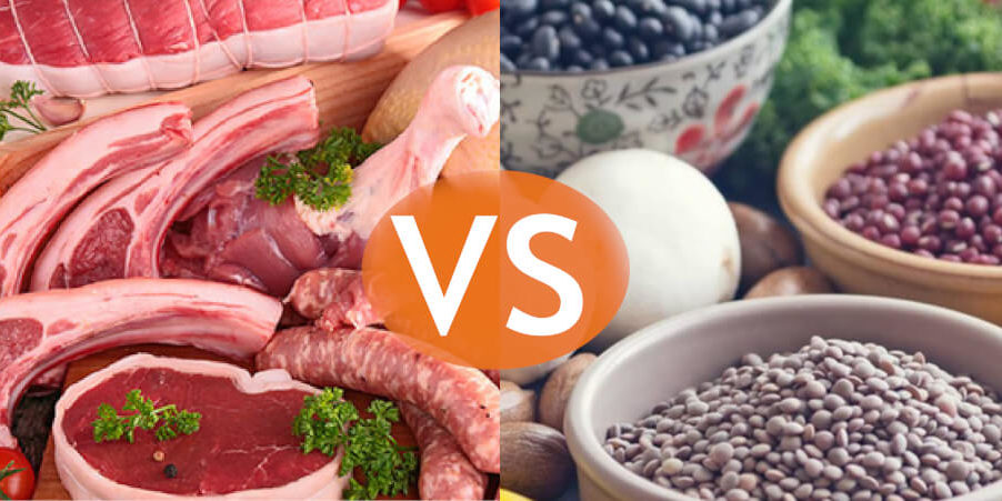 Proteina vegana vs proteina animal Proteina vegana vs proteina animal