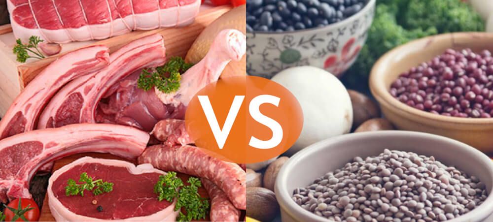 Proteina vegana vs proteina animal