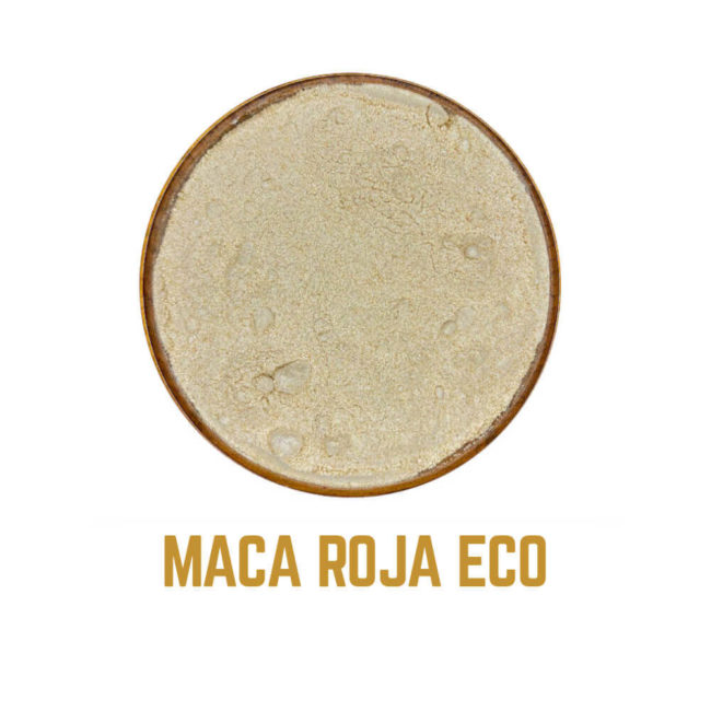 MACA ROJA icono3 ES