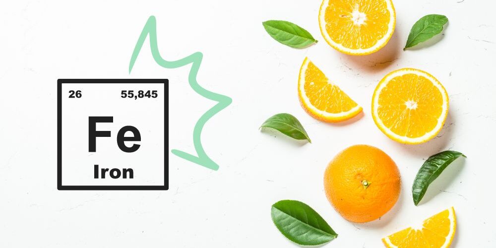 Portada para web recetas (6)