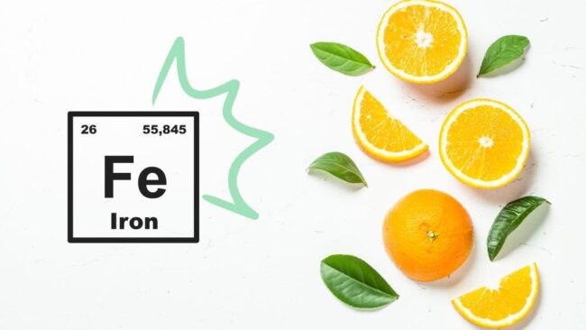 Portada para web recetas (6)