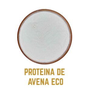 PROTEINA DE AVENA ECOicono3