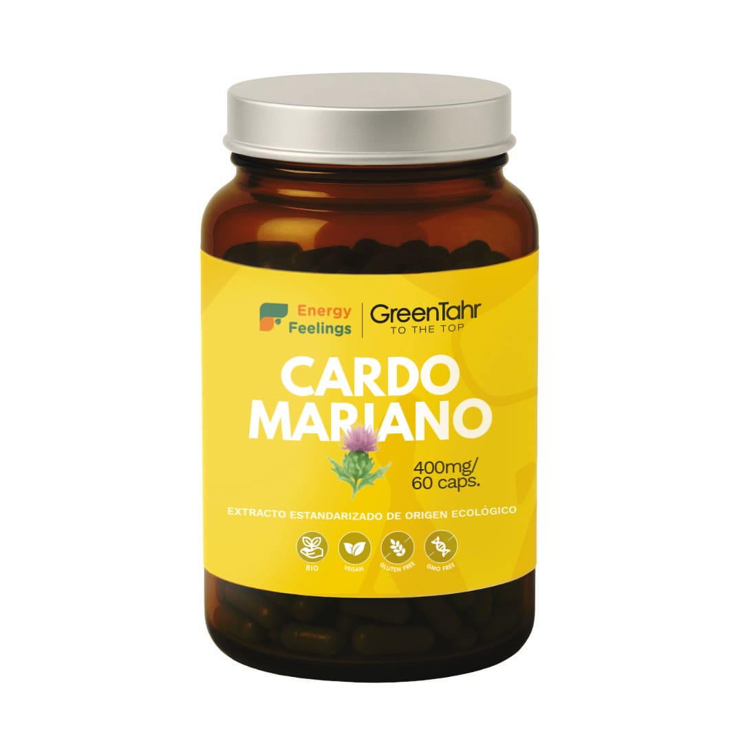 T13010E CARDO MARIANO