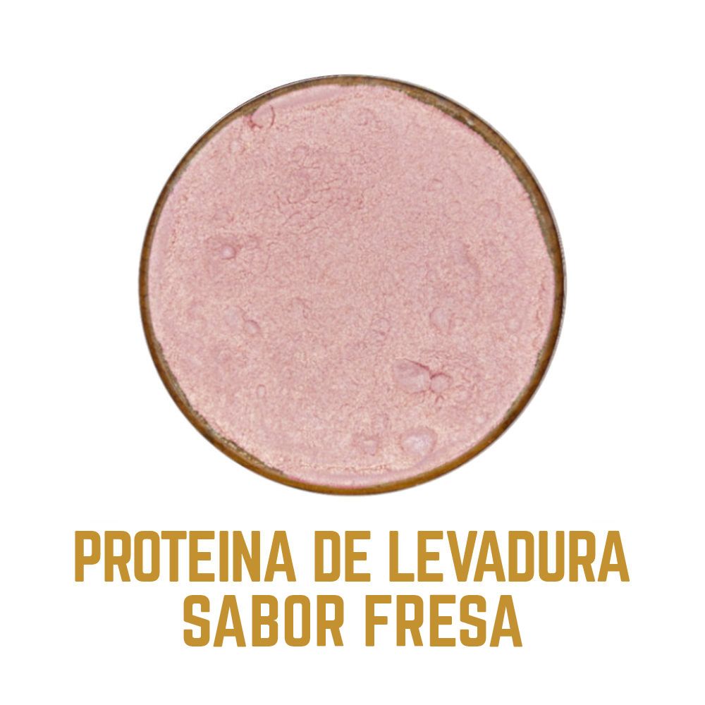 PROTEINA DE LEVADURA FRESA ES