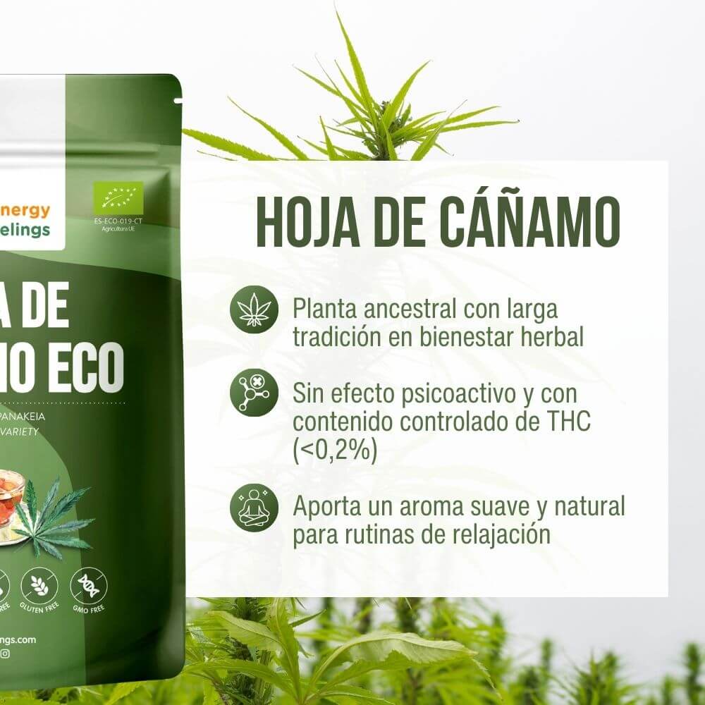 Hoja del cañamo beneficios