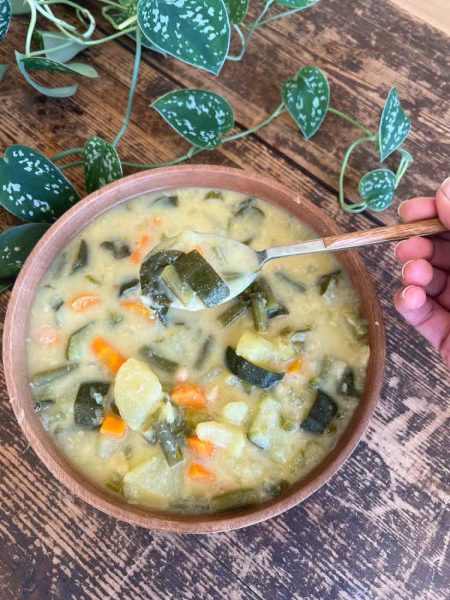 SOPA MINESTRONE CON MAGIC BROTH V1 baja