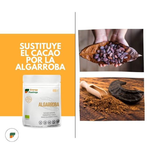 La algarroba es un excelente sustituto del cacao. Te contamos porqué 

Su contenido en ácido gálico ayuda como analgésico, antialérgico, antibacteriano, antioxidante, antiviral y antiséptico. Su nivel energético es extraordinario (50% de azúcares naturales) y su índice glucémico (IG:15) es bajo, ofreciendo altos niveles de energía y evitando picos glucémicos y acumulación de grasas.

Además, la algarroba tiene un 10% de proteínas y es rica en calcio, hierro y fósforo, entre otros minerales.

Es perfecto para batidos y recetas con sabor dulce. 

¿Cuál es tu receta preferida con algarroba?

Conoce más sobre nosotros en www.energyfeelings.com

#eneryfeelings #vegano #organico #ecologico #alimentacion